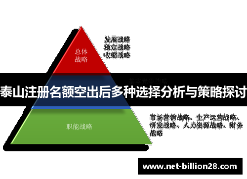 泰山注册名额空出后多种选择分析与策略探讨