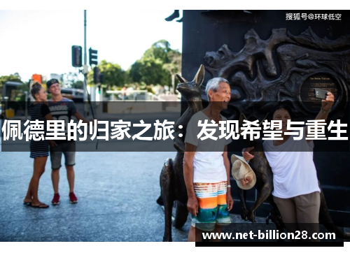 佩德里的归家之旅：发现希望与重生