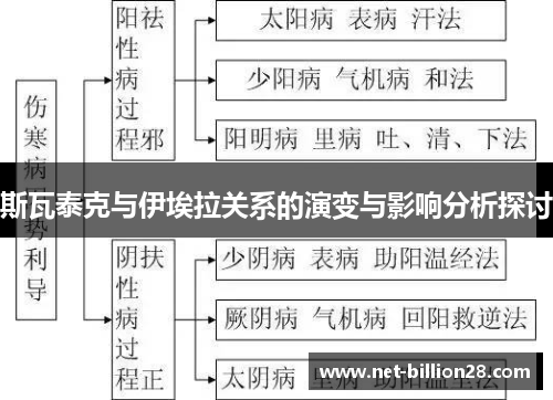 斯瓦泰克与伊埃拉关系的演变与影响分析探讨